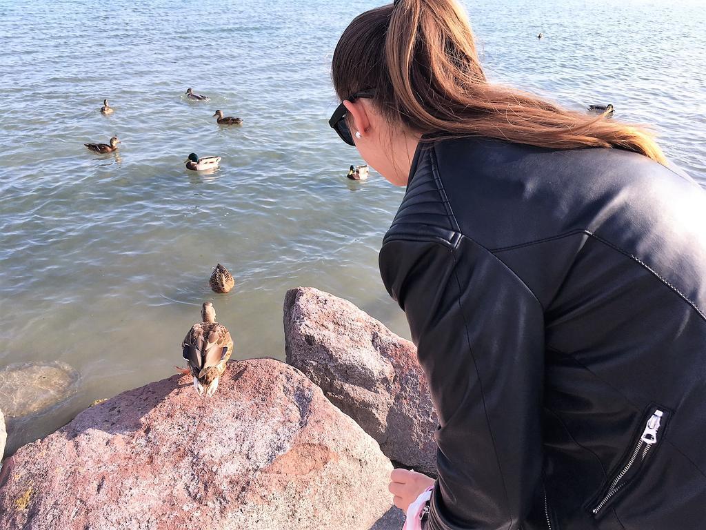Tulipan Apartman Balatonalmádi エクステリア 写真